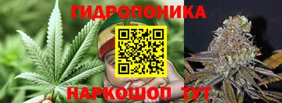 бошки Пугачёв