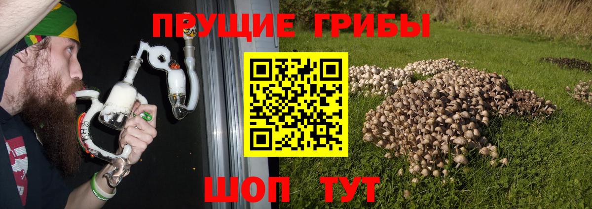Галлюциногенные грибы ЛСД  Псилоцибиновые грибы Psilocybine cubensis  Шали  Вход с VPN 